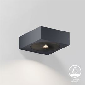 Luci Down Wall Light